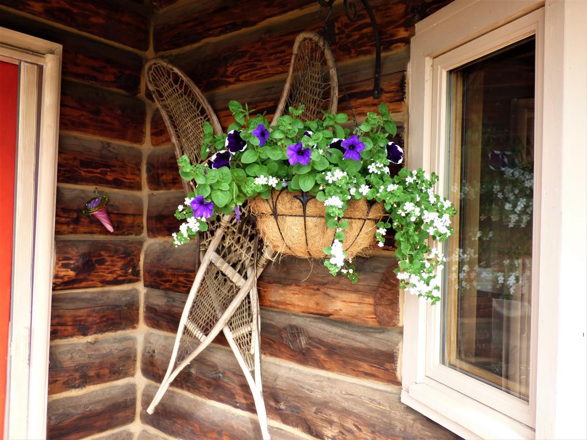 Juneberry Lodge Homer Ngoại thất bức ảnh